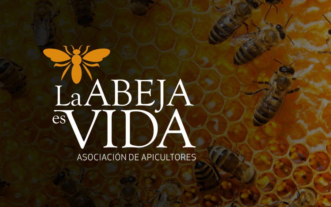 Nace La Abeja es Vida: una Asociación en defensa de la apicultura para salvar el sector de su desaparición