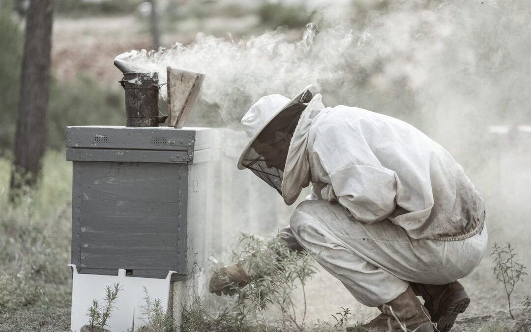 La Abeja es Vida pide a la Generalitat medidas urgentes de apoyo a la apicultura valenciana