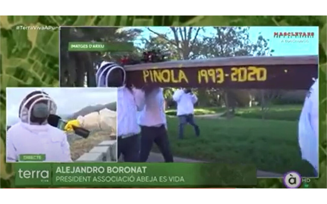 Volvemos a reivindicar la necesidad de derogar La Pinyolà en «Terra Viva» de À Punt TV
